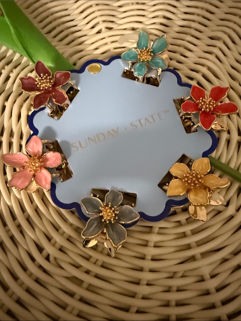 🌸NEW🌸Floral Enamel Hair Clips - Multi Color Set